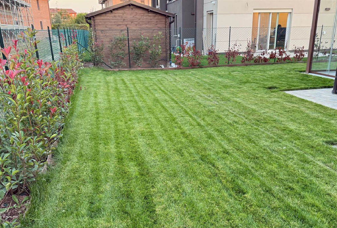 Prato realizzato da FT Giardini
